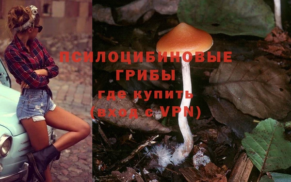 а пвп мука Баксан