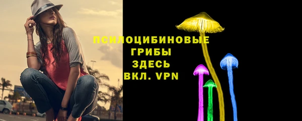 ешки Балахна