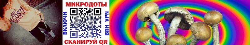 Галлюциногенные грибы GOLDEN TEACHER  hydra как войти  Буйнакск  купить  